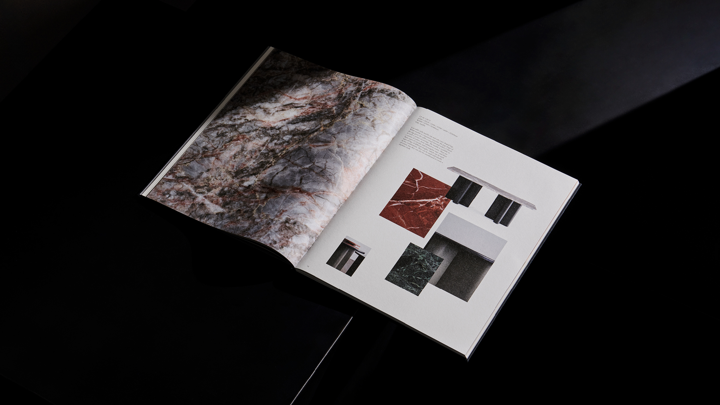 LP_Book_03.jpg